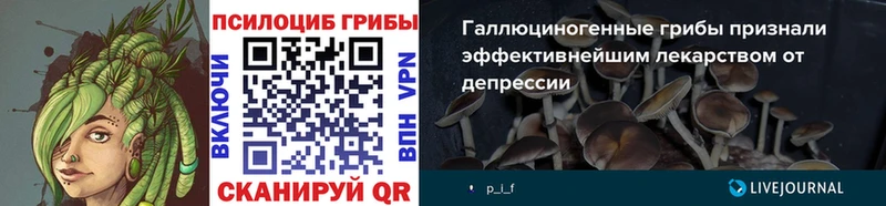 купить наркоту  Тбилисская  KRAKEN tor  Галлюциногенные грибы MAGIC MUSHROOMS 
